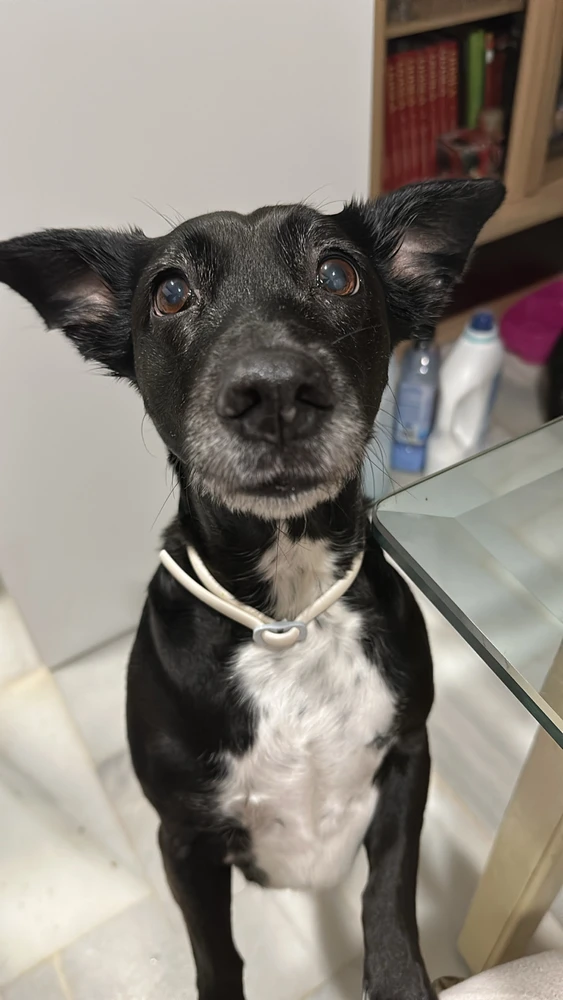 Imagen subida por Elena