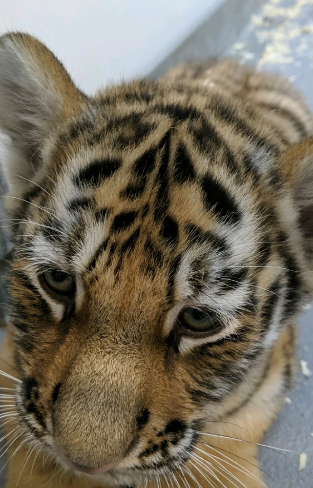 GIF diunggah dening Erin