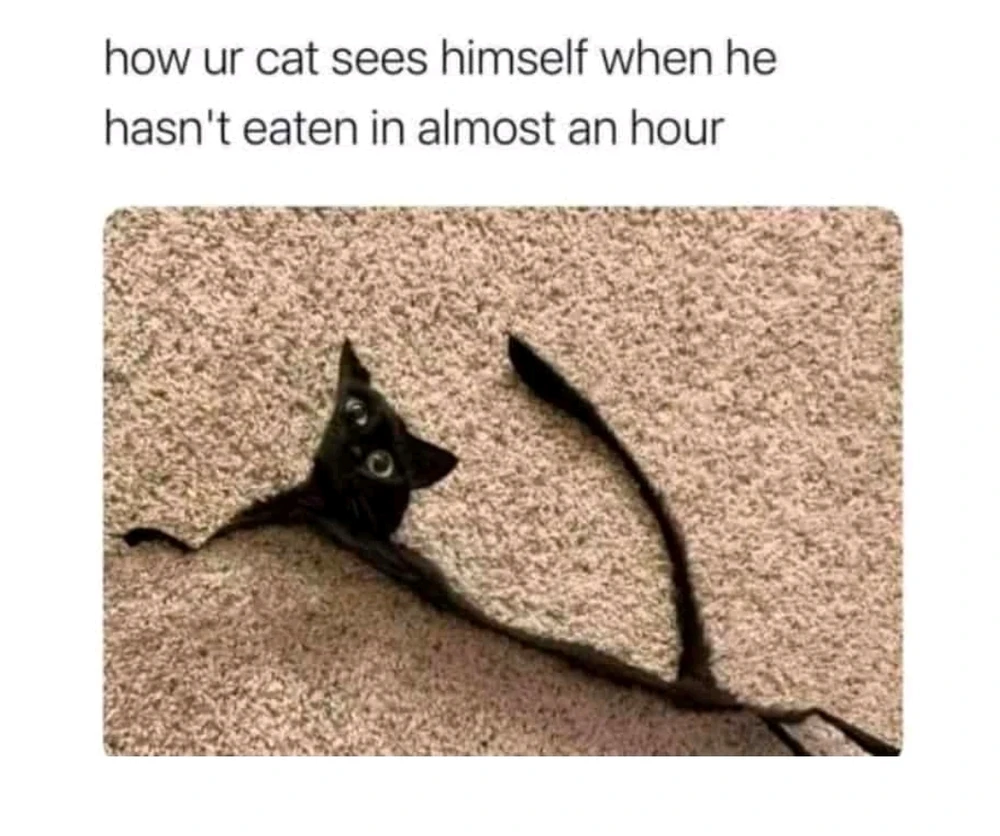 GIF uploaded by Murmullo Oscuro