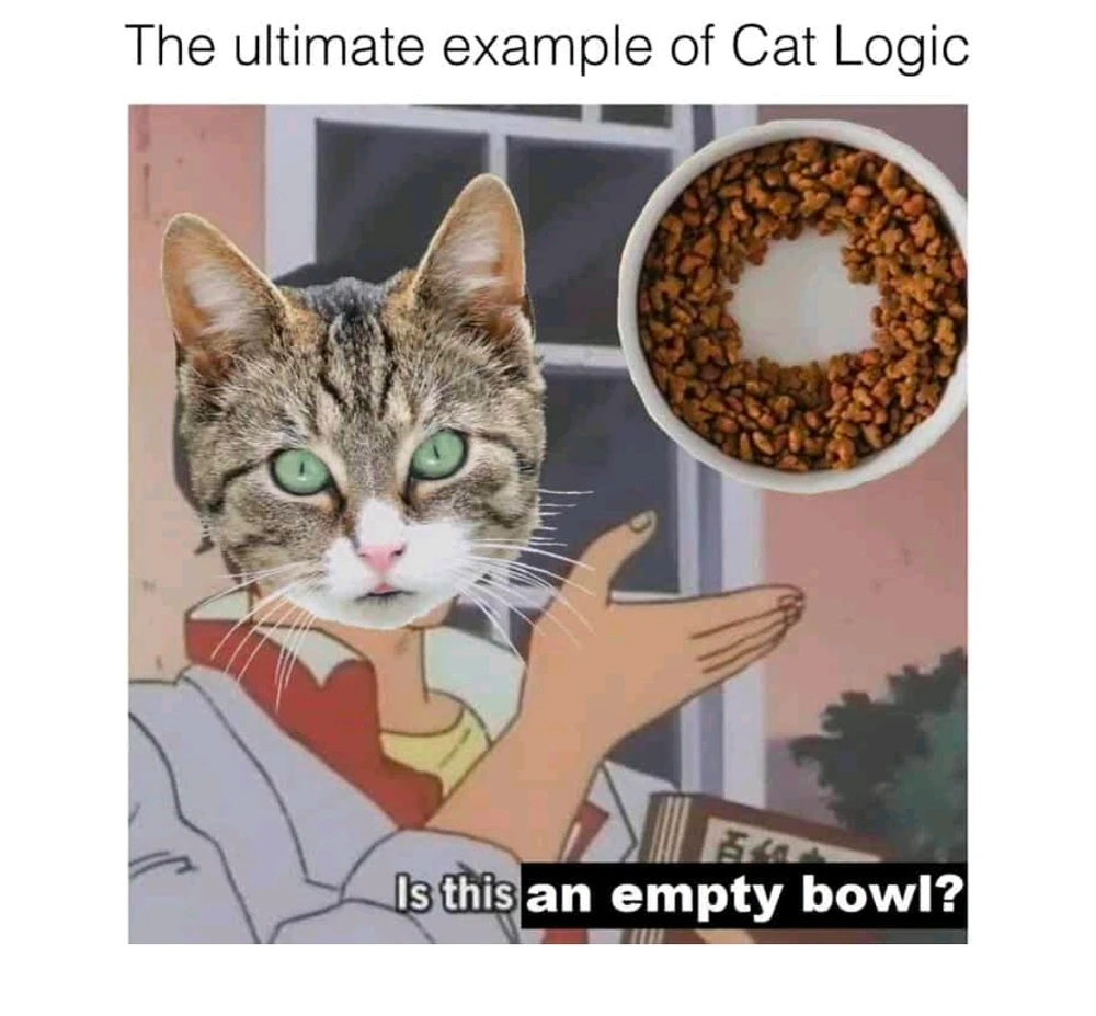 GIF uploaded by Murmullo Oscuro