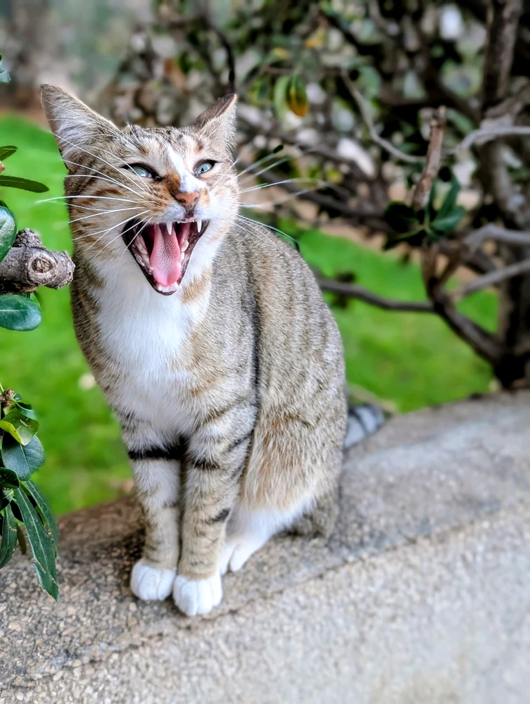 GIF uploaded by Aviv