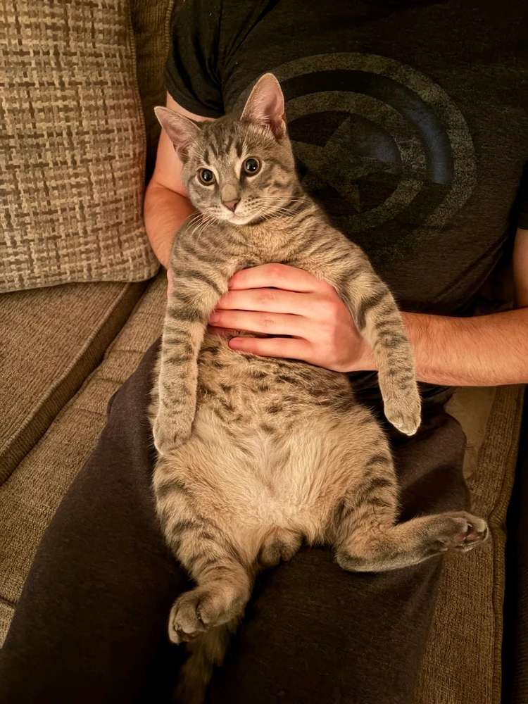 GIF uploaded by Austin