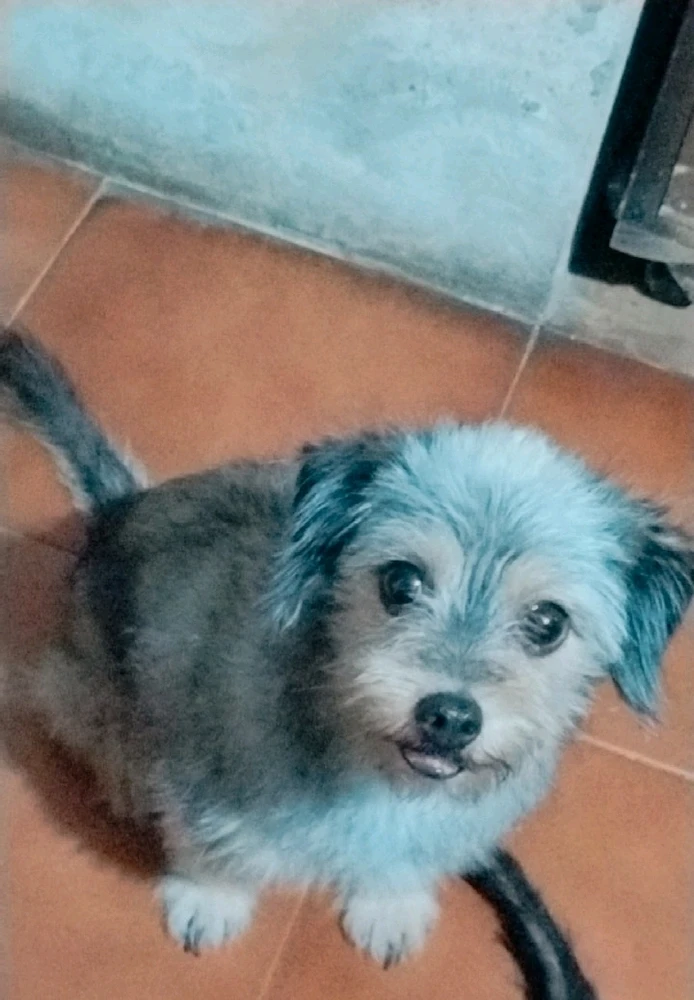 Imagen subida por Anna