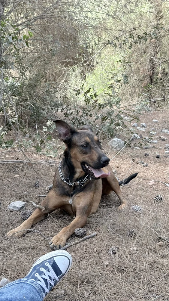 Image uploaded by MK