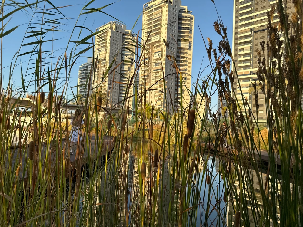 Image uploaded by MK