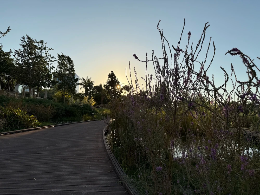 Image uploaded by MK