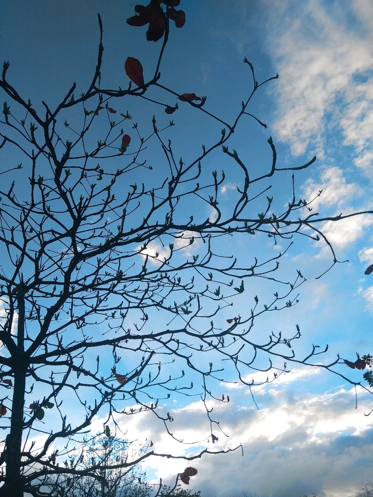 GIF uploaded by It's Mie