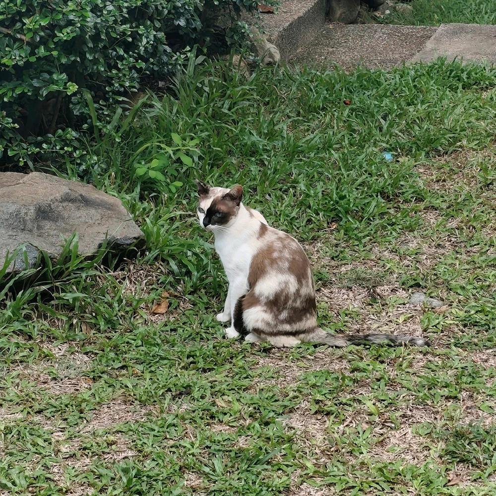 GIF uploaded by Nown Nown