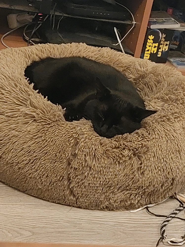 GIF ajouté par Thomas