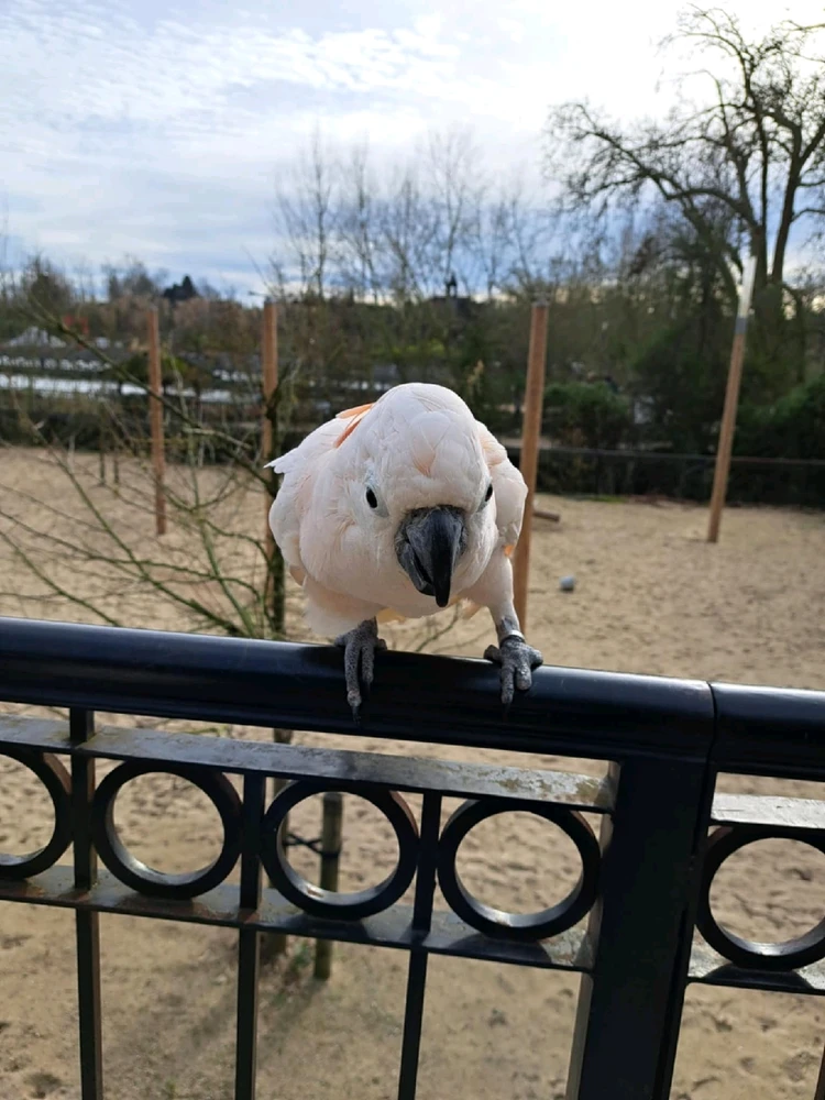 GIF ajouté par Marie