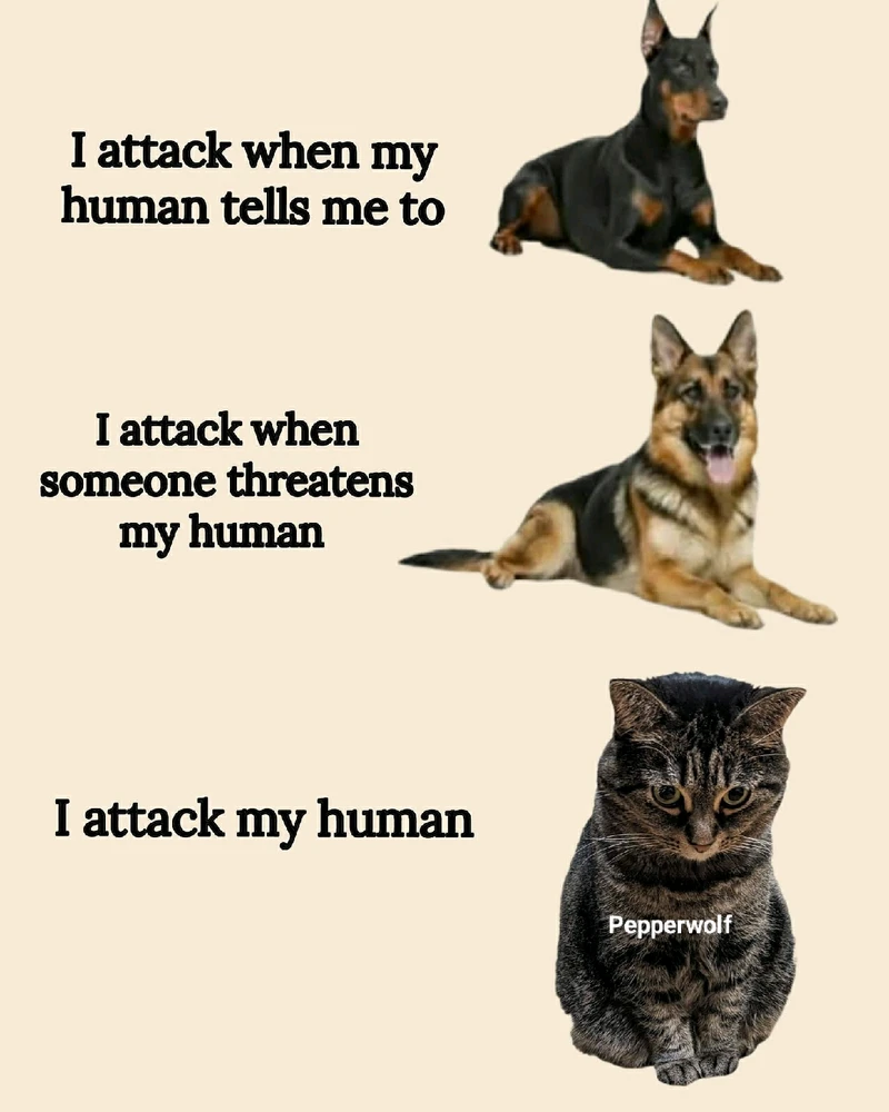 GIF uploaded by Marcel