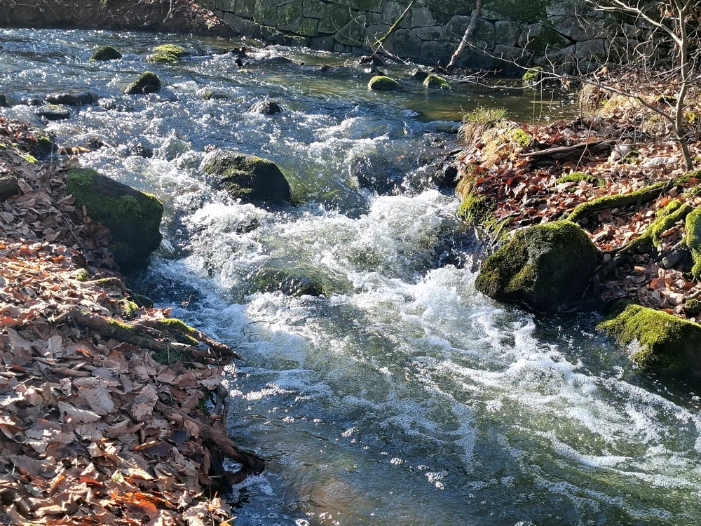 Obrázek nahrál ©️Iva 🦉