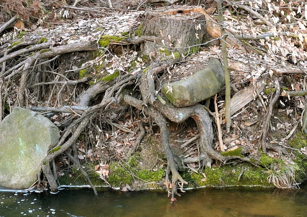 Obrázek nahrál ©️Iva 🦉