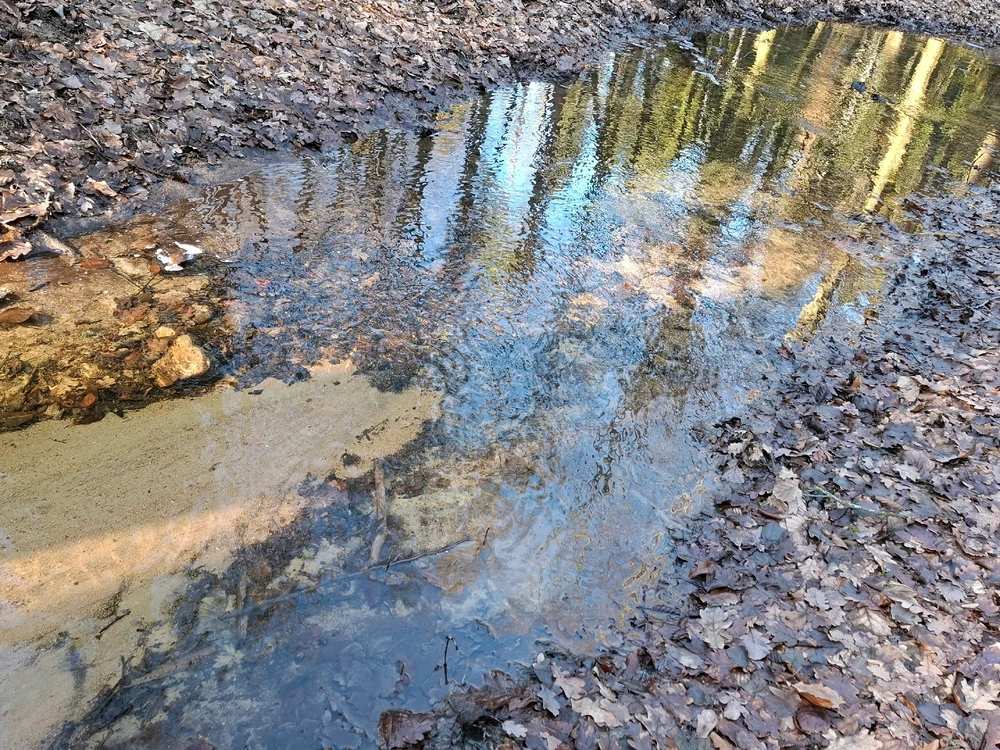 Obrázek nahrál ©️Iva 🦉