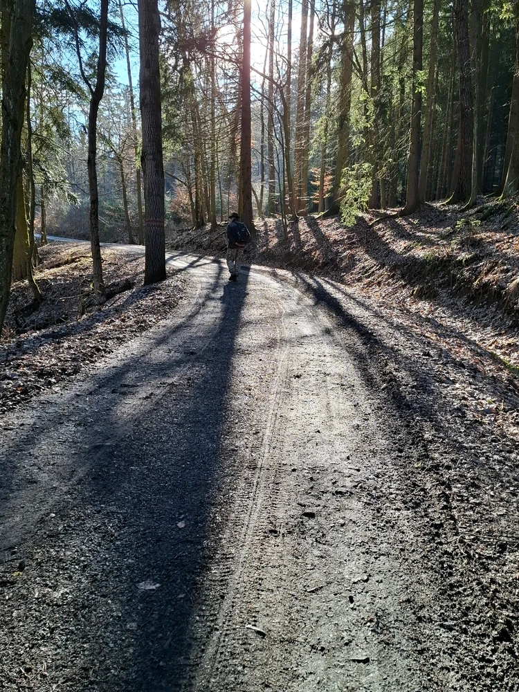 Obrázek nahrál ©️Iva 🦉