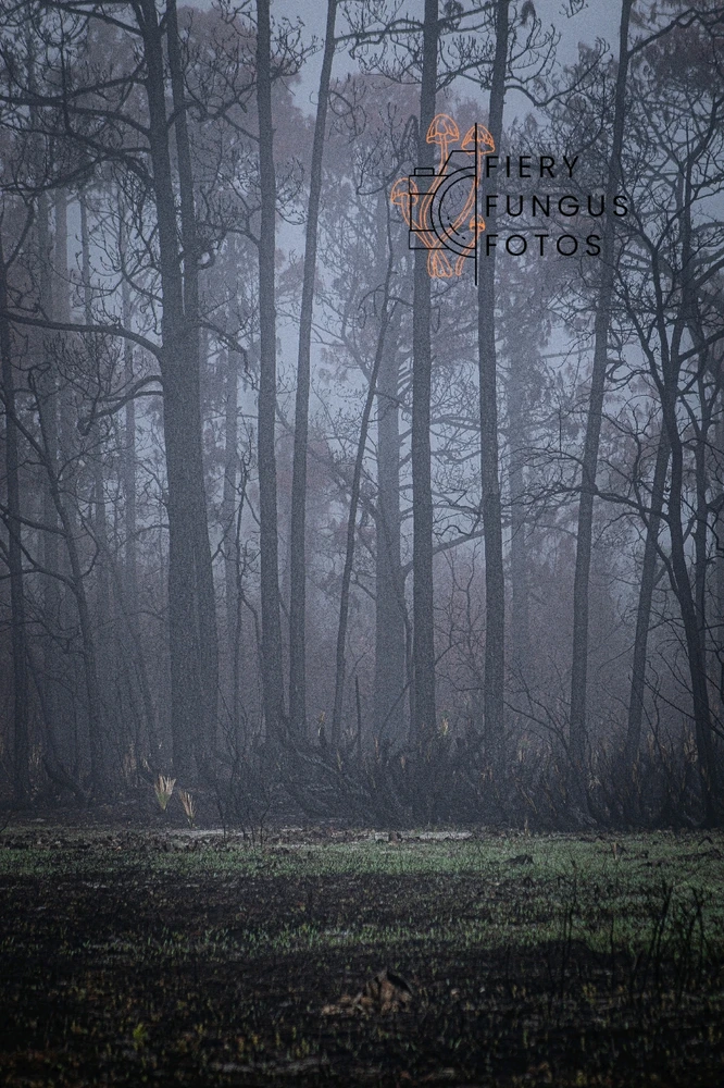 GIF uploaded by Kimberly