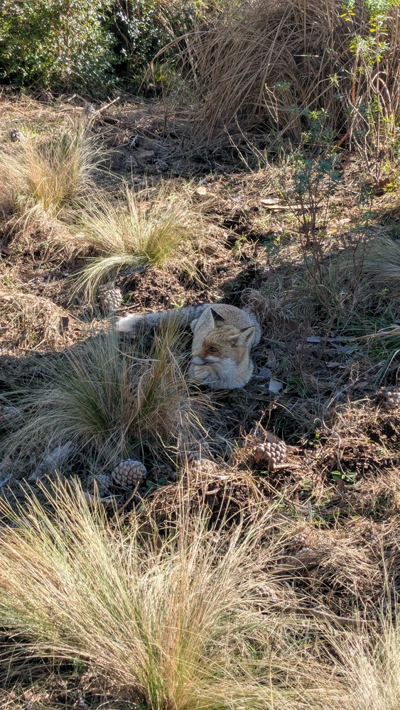 GIF caricata da Tommaso