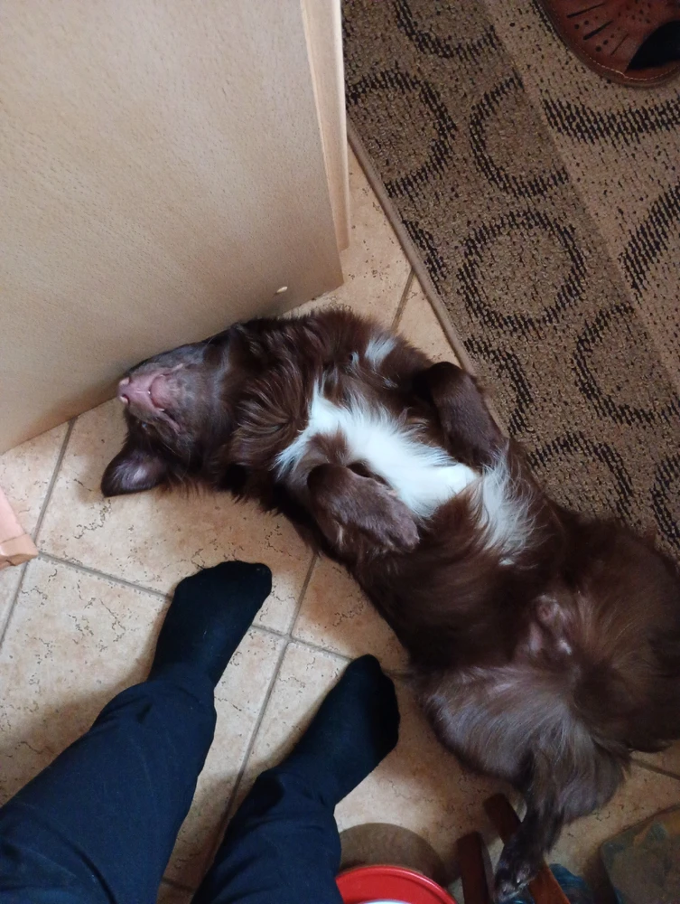 GIF dodany przez Avana