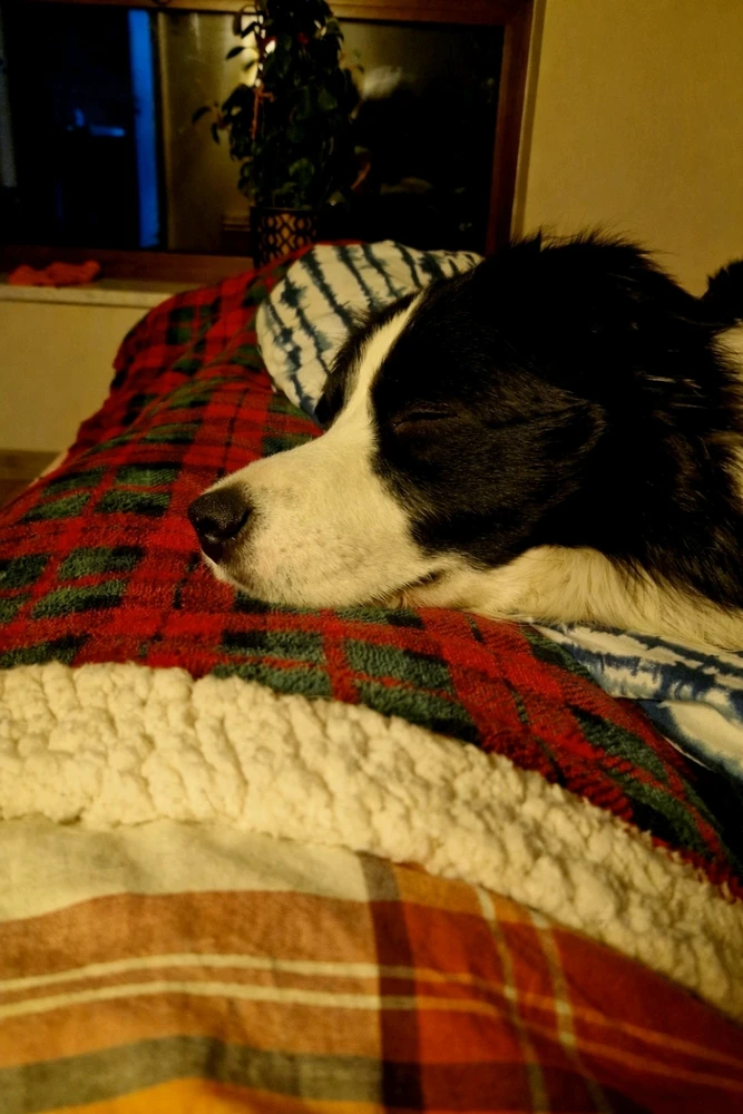 Zdjęcie dodane przez Paweł