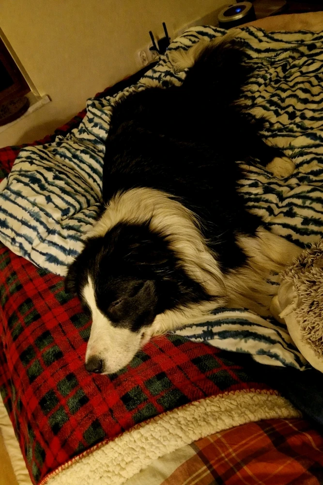 Zdjęcie dodane przez Paweł