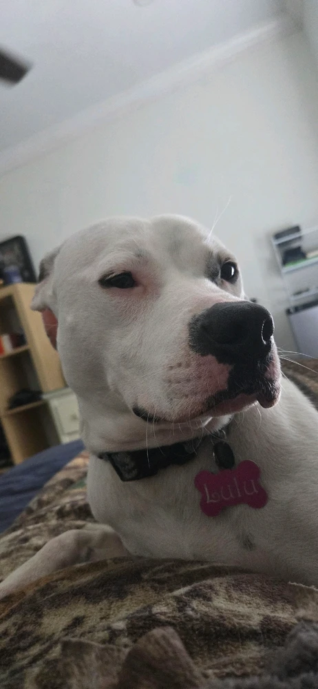 GIF uploaded by Alivia