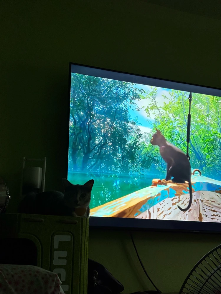 GIF uploaded by Pat♡