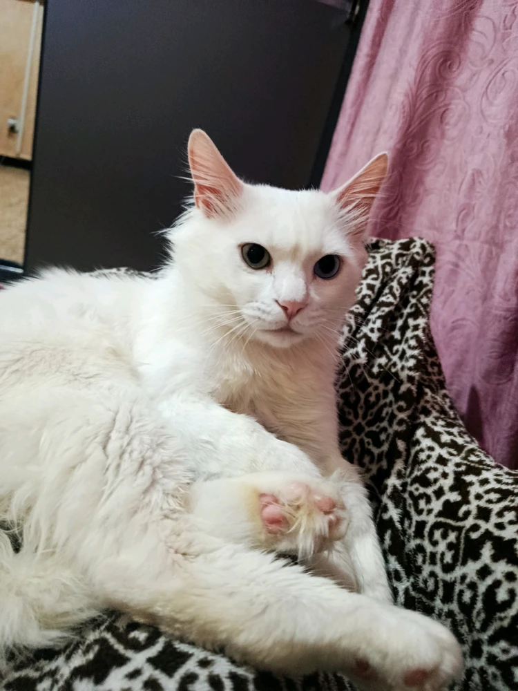 GIF ajouté par Kun iheb