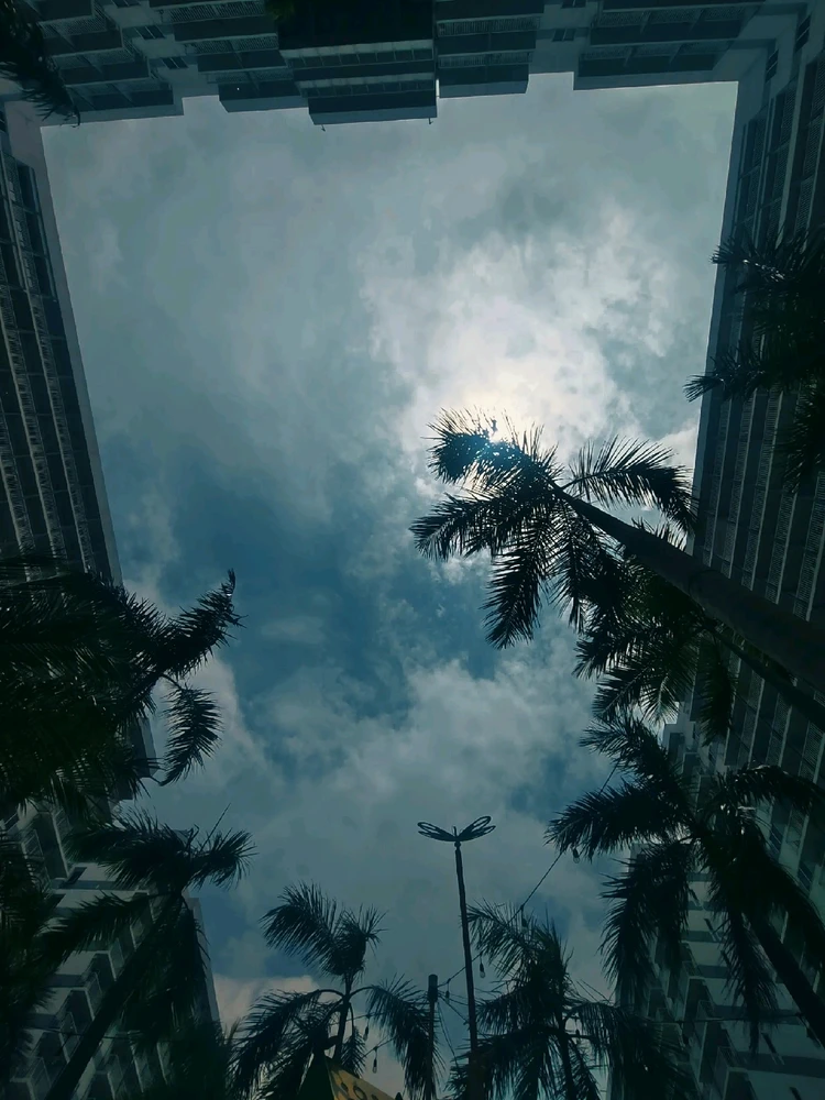 GIF uploaded by Giselle