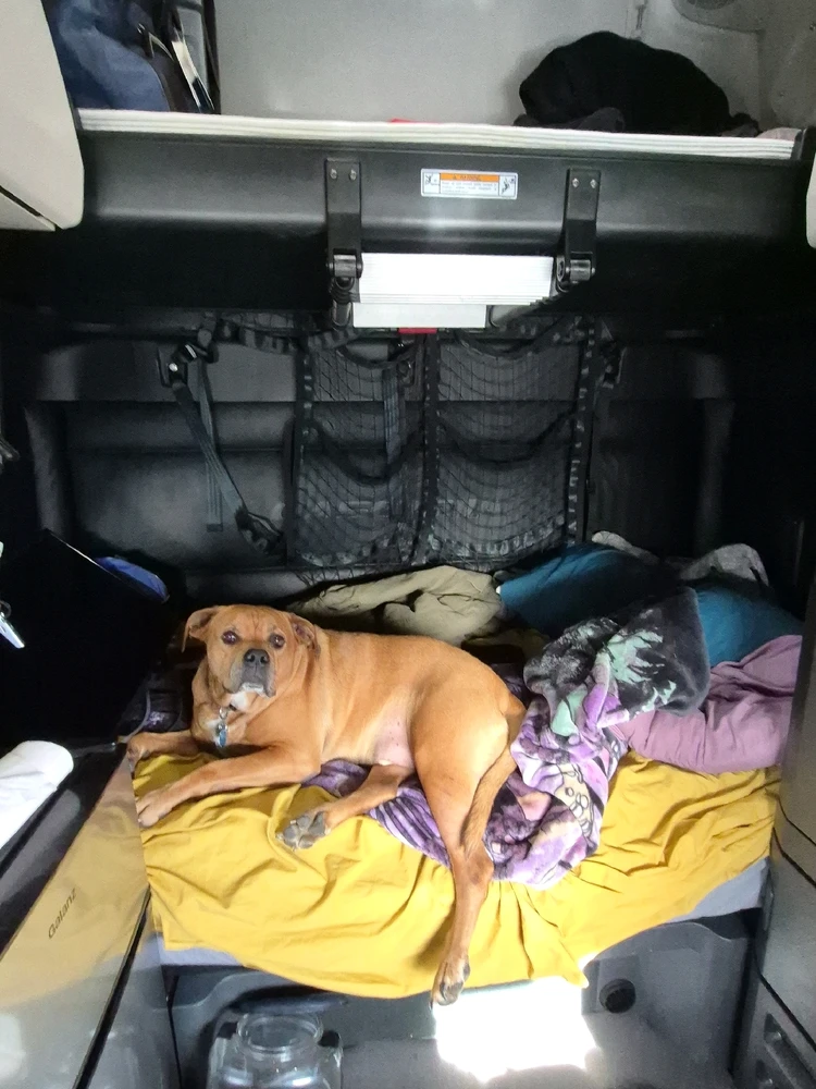 Image uploaded by Jeremy