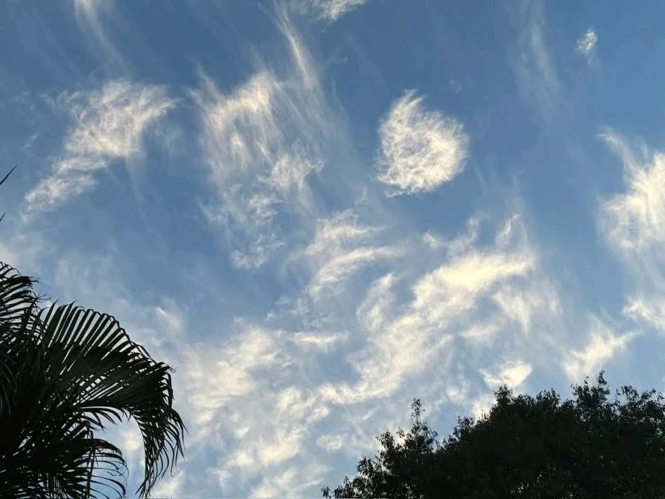 Image uploaded by 💜J💜o💜e💜y💜