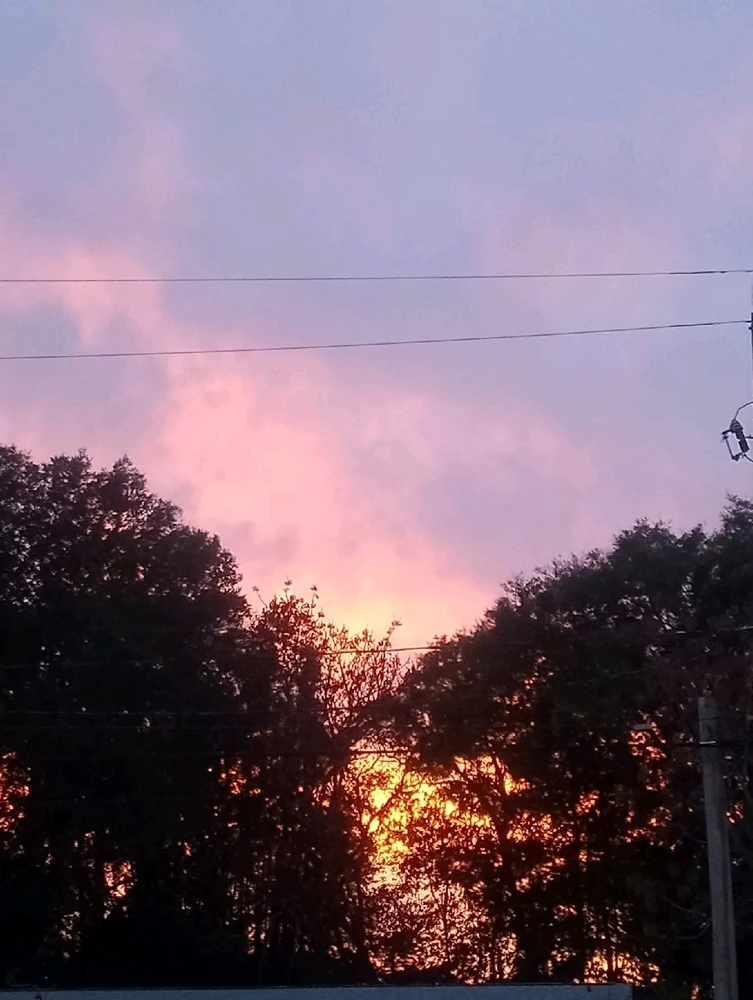 Image uploaded by 💜J💜o💜e💜y💜