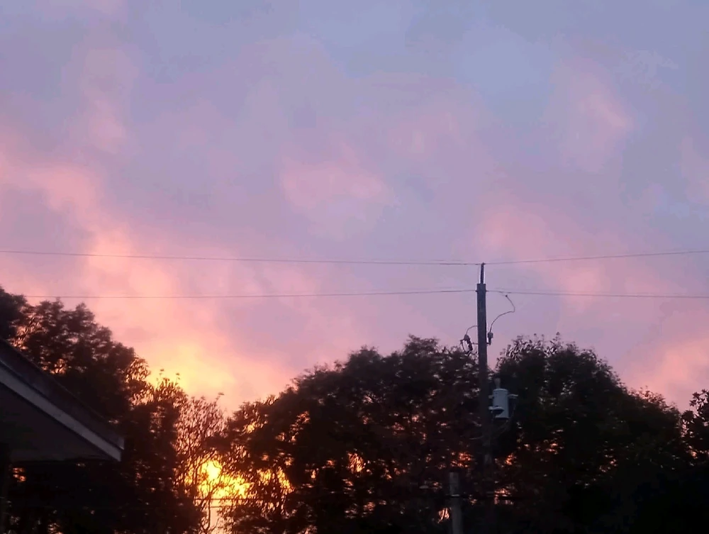 Image uploaded by 💜J💜o💜e💜y💜