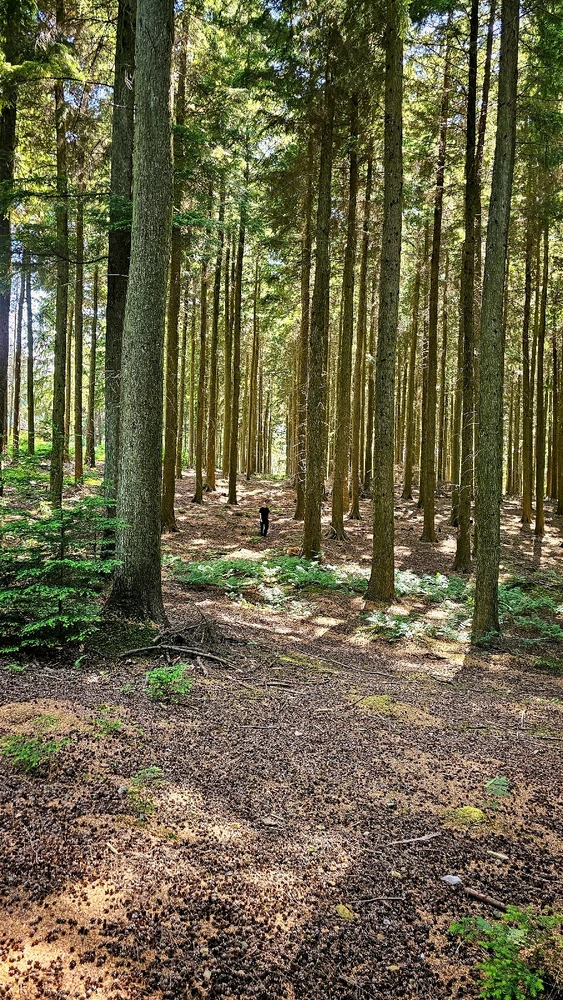 GIF uploaded by Nate