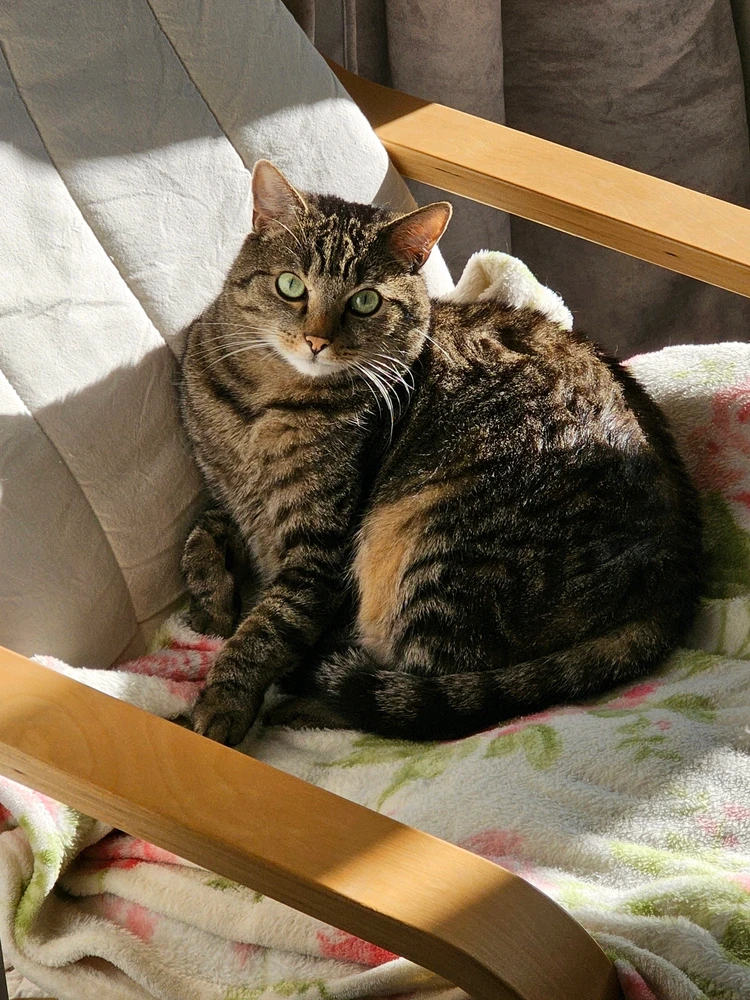 Bild hochgeladen von Steffi