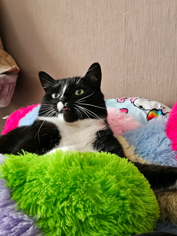 Bild hochgeladen von Steffi