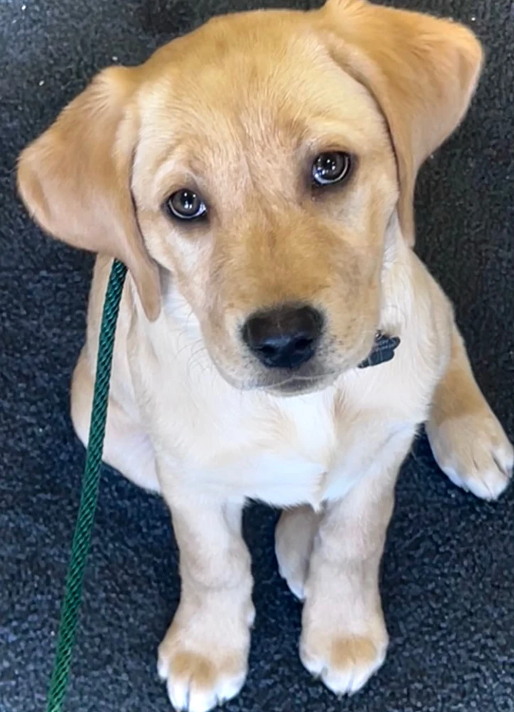 Image uploaded by Anne