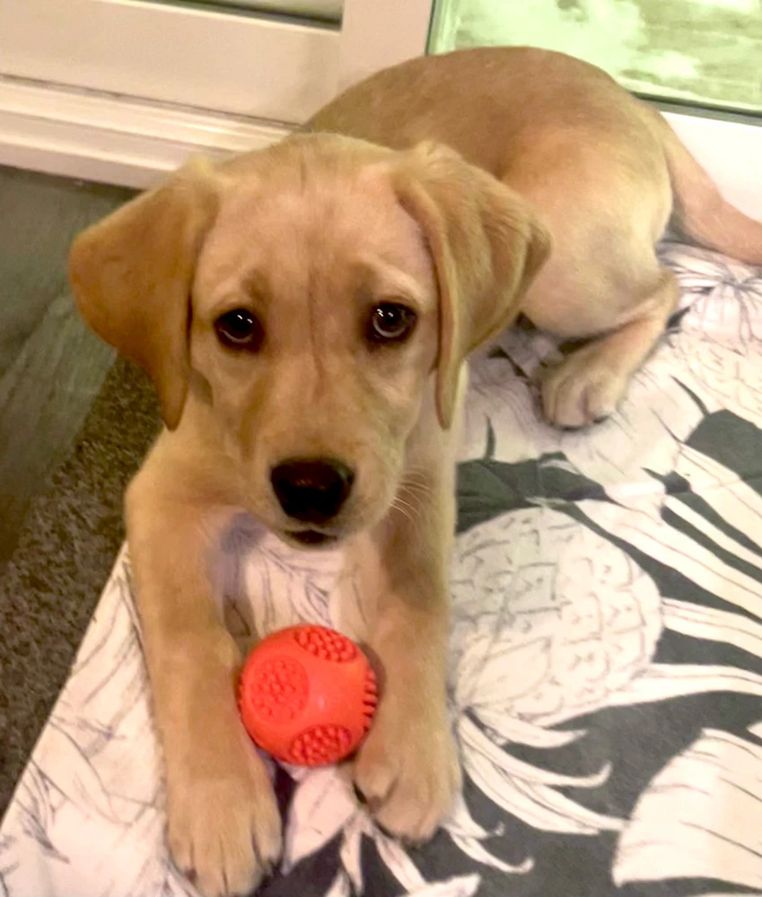 Image uploaded by Anne