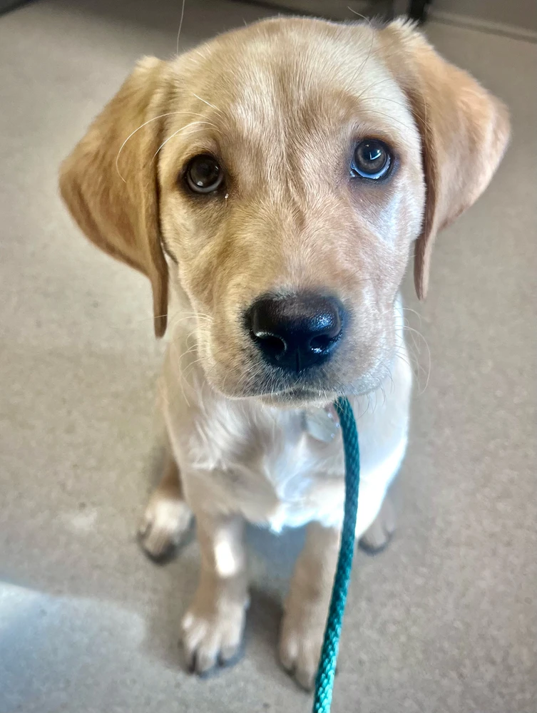 Image uploaded by Anne