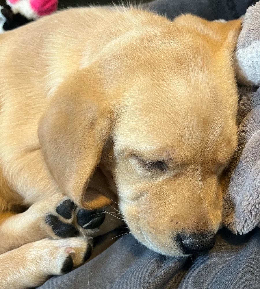 Image uploaded by Anne