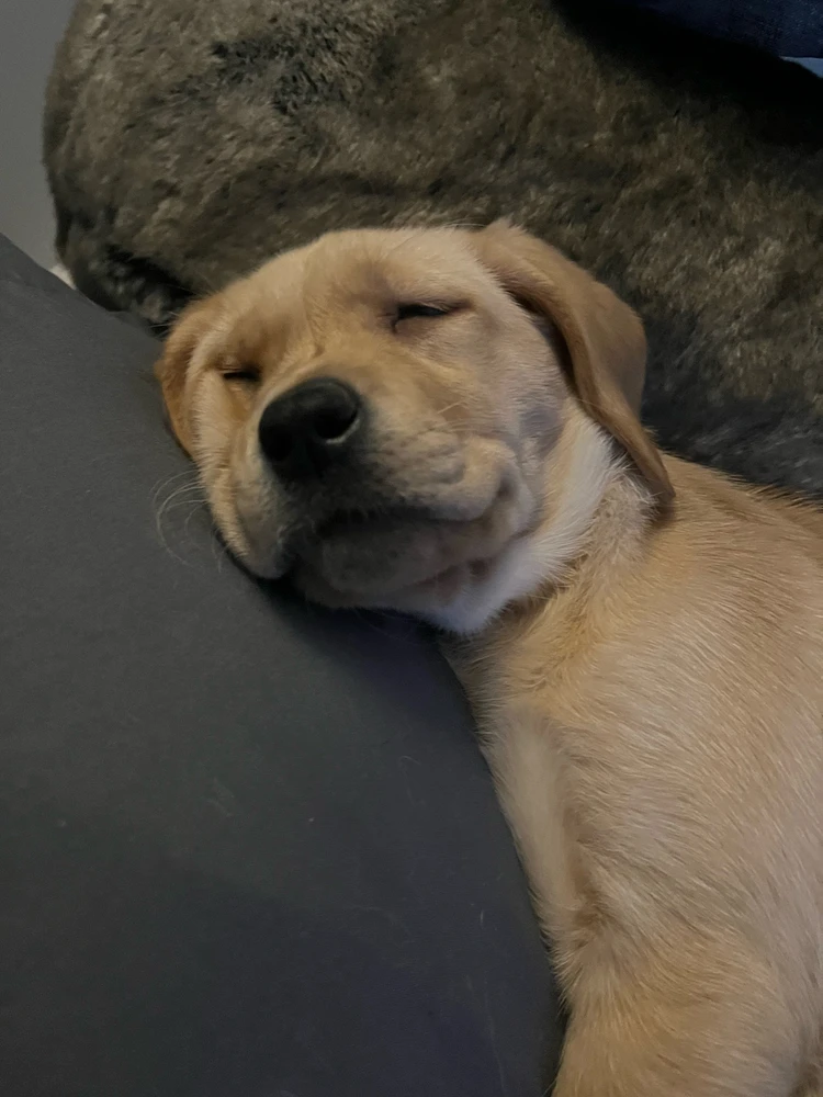 Image uploaded by Anne