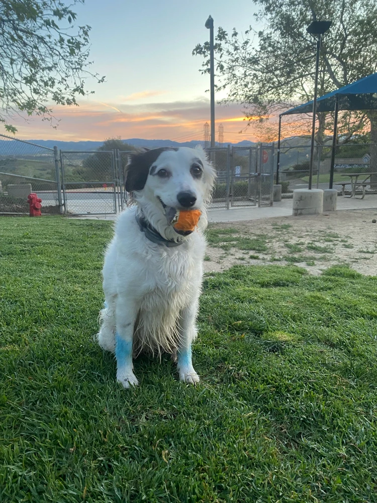 GIF uploaded by Kayla