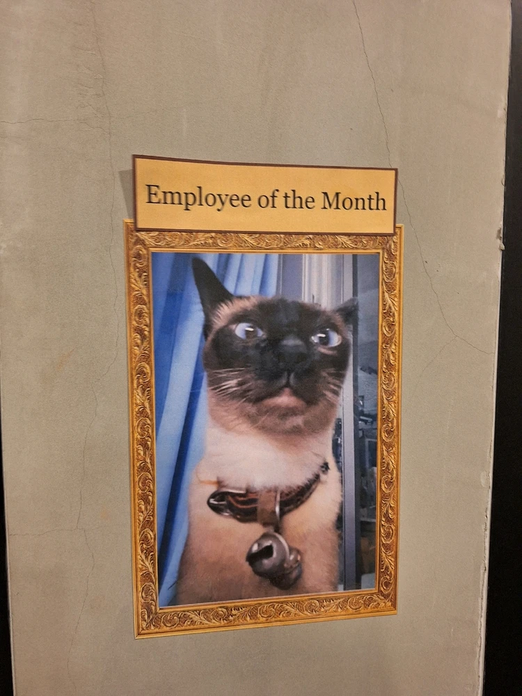 GIF uploaded by Adam