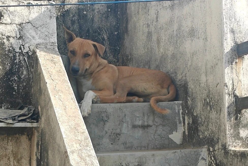 GIF uploaded by Varun