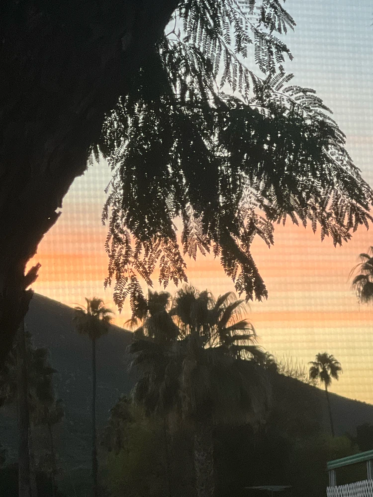 GIF uploaded by Mark