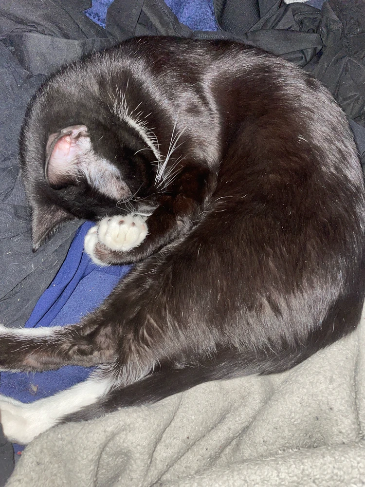 Image uploaded by Jake