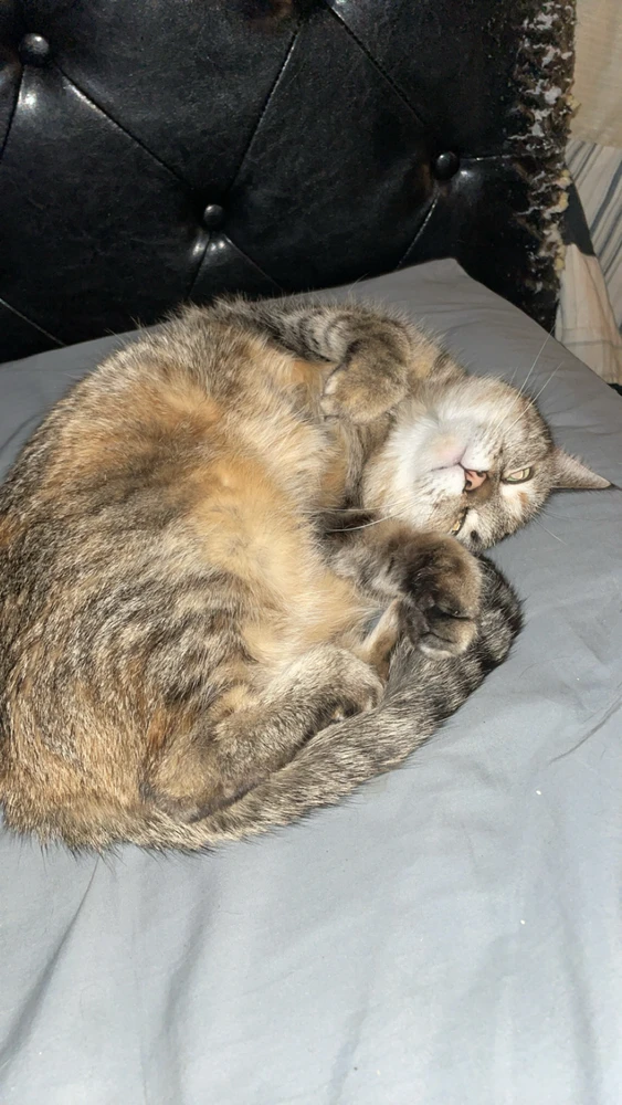 Image uploaded by Jake