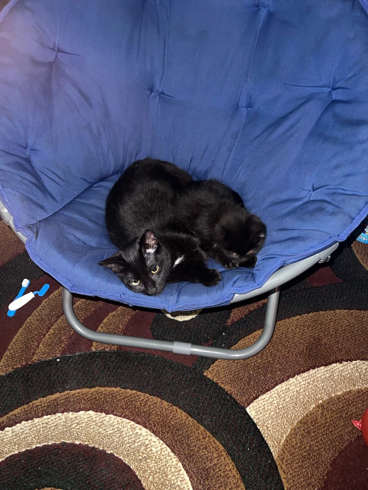 Image uploaded by Dulce