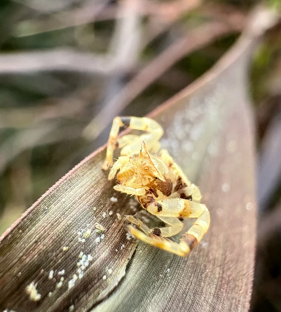 GIF uploaded by Wilson