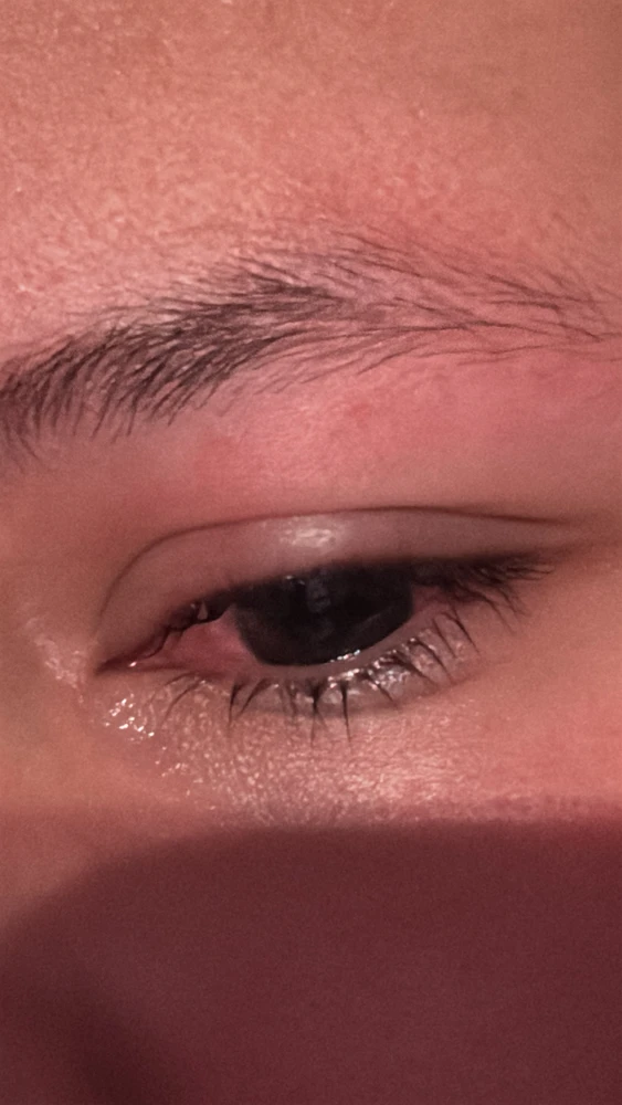 GIF subido por Fernanda