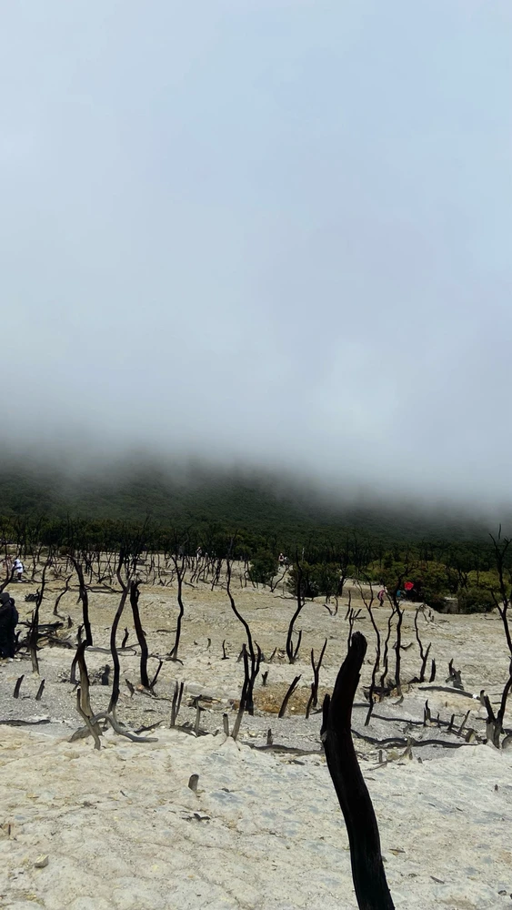 Gambar diunggah oleh Yujian